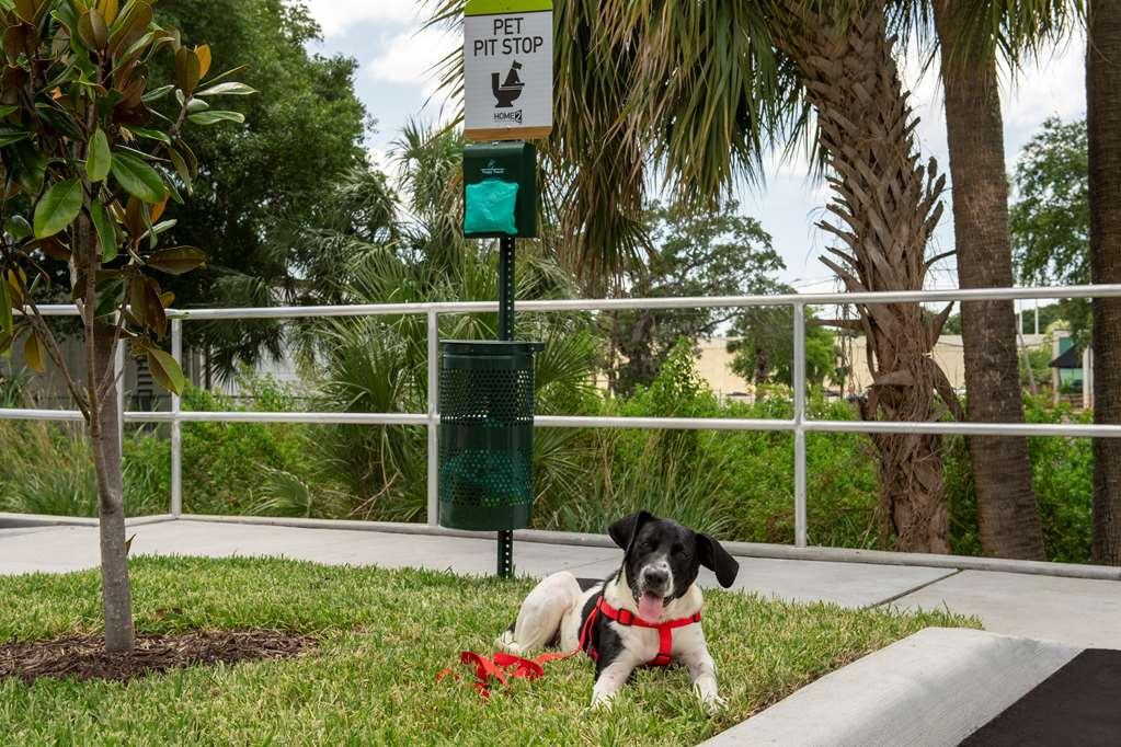 Home2 Suites By Hilton Tampa Westshore Airport Buitenkant foto